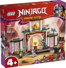 LEGO NINJAGO Chrm nind Spinjitzu 71831 STAVEBNICE