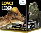 ALBI Science Lovci lebek Pachycephalosaurus vykopej a vystav si lebku dinosaura