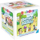 ASMODEE BRAINBOX HRA Domc mazlci *SPOLEENSK HRY*