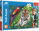 TREFL PUZZLE ڞasn zvata 60x40cm skldaka 300 dlk